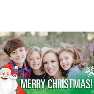 Meet your Posher, Molly